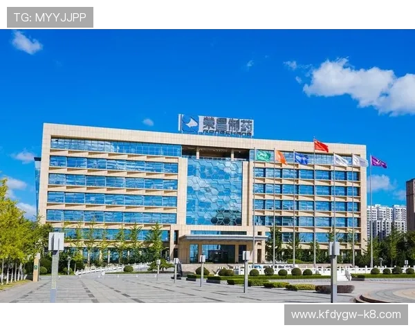 凯发集团官网首页网址访问常见问题解答及技术支持指南帮助玩家顺利登录平台